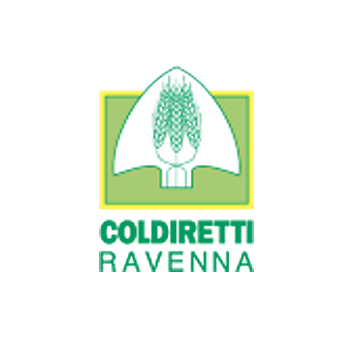 ravenna ravenna